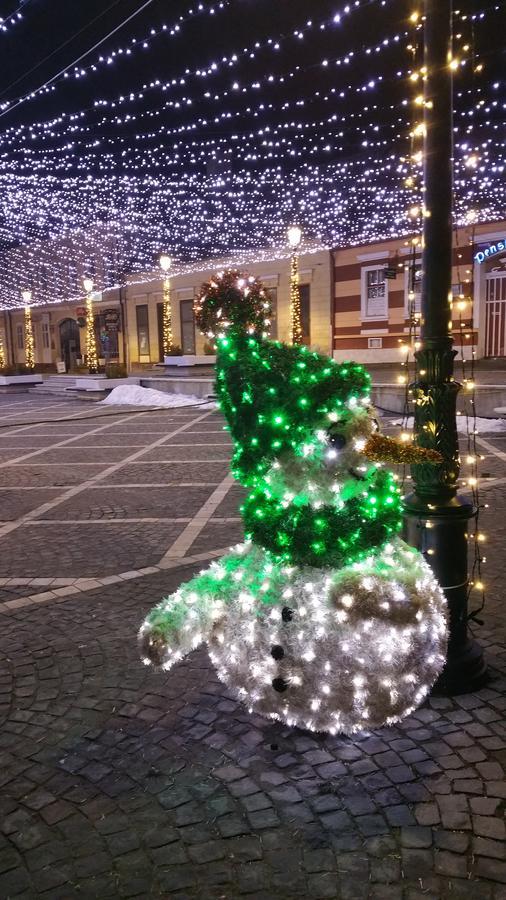 Apartament Casa Bergwald Râșnov Zewnętrze zdjęcie