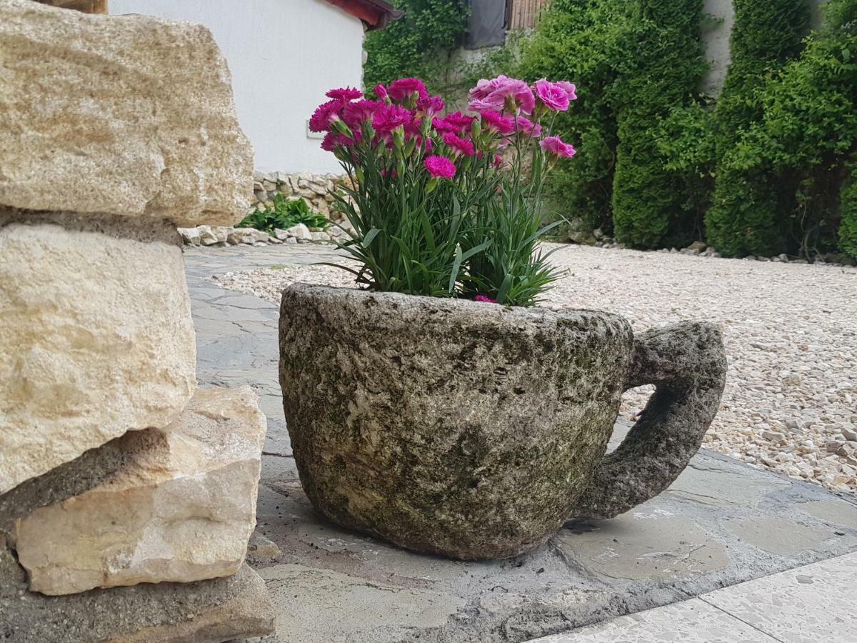 Apartament Casa Bergwald Râșnov Zewnętrze zdjęcie